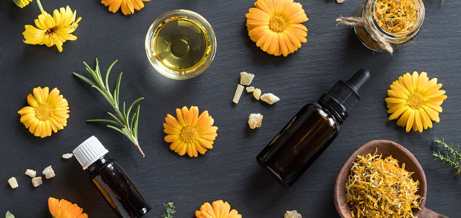 Le proprietà dell’olio essenziale di calendula sono numerose e molto benefiche per la salute