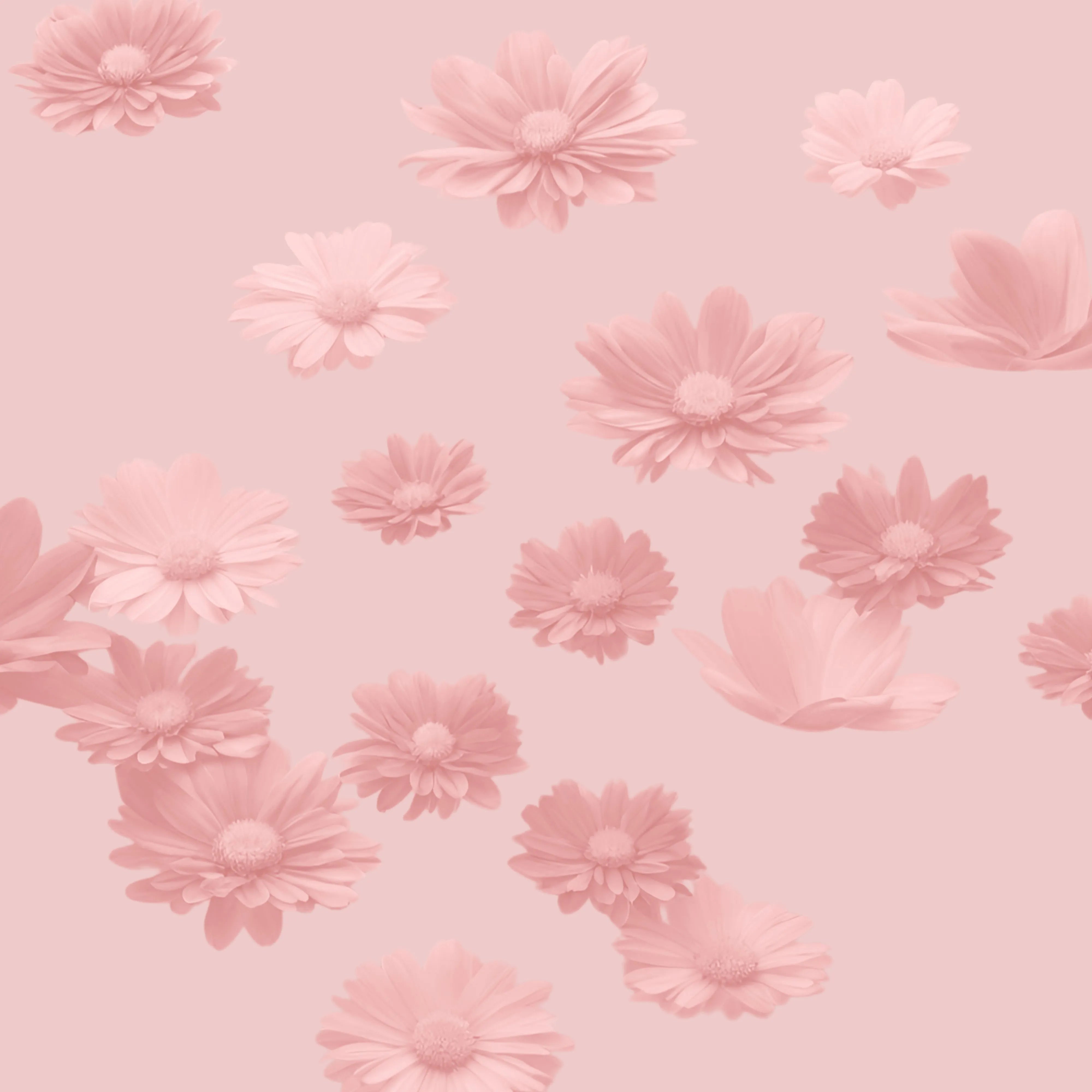 Floral.webp